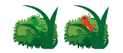 La evolución biológica.