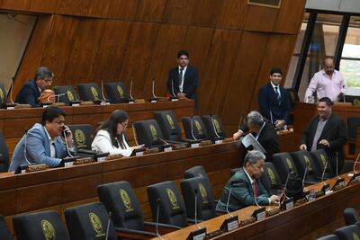 La primera sesión extraordinaria de ayer en la Cámara Baja no llegó al quorum necesario.