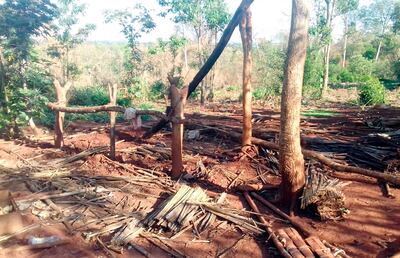 La comunidad Jaku’i Guasu fue arrasada por hombres armados. Los indígenas mbya apenas si tuvieron tiempo para retirar sus enseres personales. De las viviendas no queda nada en pie.