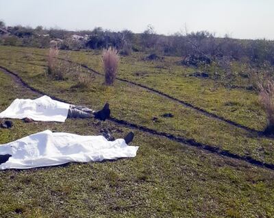 Los cuerpos yacen en el suelo cubiertos con sábanas mortuorias.