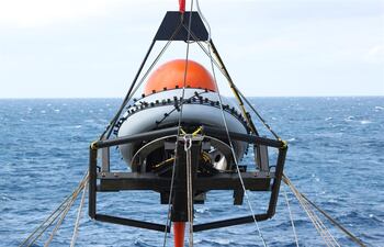 Una de las consecuencias de la reducción del ruido al inicio de la pandemia es la mejora de la comunicación de los animales, especialmente entre los mamíferos marinos.