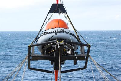 Una de las consecuencias de la reducción del ruido al inicio de la pandemia es la mejora de la comunicación de los animales, especialmente entre los mamíferos marinos.