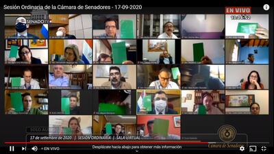 Senadores votaron en su mayoría para archivar el llamado proyecto de "Ley Buzarquis".