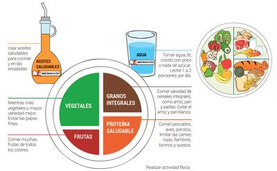 El plato saludable