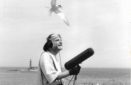 Jim Metzner mientras graba sonidos.