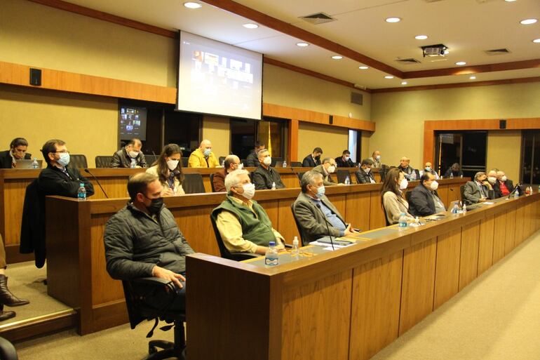Los empresarios de la UIP escucharon atentamente la presentación del titular de la ANDE, Félix Sosa, sobre el Plan Maestro.