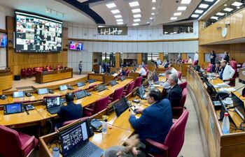 Sesión del Senado (Foto Prensa Senado)