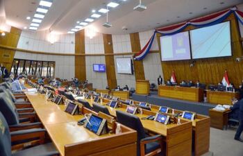 La Cámara de Diputados no logró revertir el rechazo de la Cámara de Senadores y envió al archivo, el proyecto de ley “Que establece la obligatoriedad de designar al menos un profesional licenciado en psicología en cada hospital público del país”.