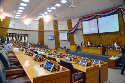 La Cámara de Diputados no logró revertir el rechazo de la Cámara de Senadores y envió al archivo, el proyecto de ley “Que establece la obligatoriedad de designar al menos un profesional licenciado en psicología en cada hospital público del país”.