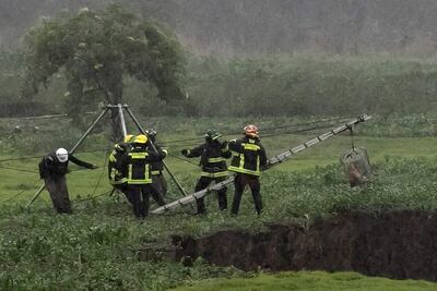 Miembros del cuerpo de bomberos y de protección civil rescatan a dos perros del socavón de Santa María Zacatepec, en el estado de Puebla (México).