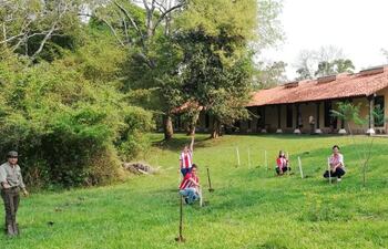 Unos 50 árboles fueron plantados en el Parque Nacional de Ybycuí