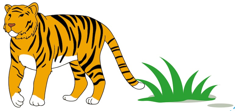 Animales de la selva