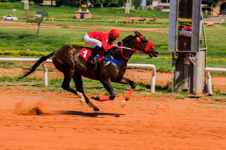 Vodka Puro, adornado de rojo, y con Juanchi Figueredo bien apilado, ganó la primera del domingo.