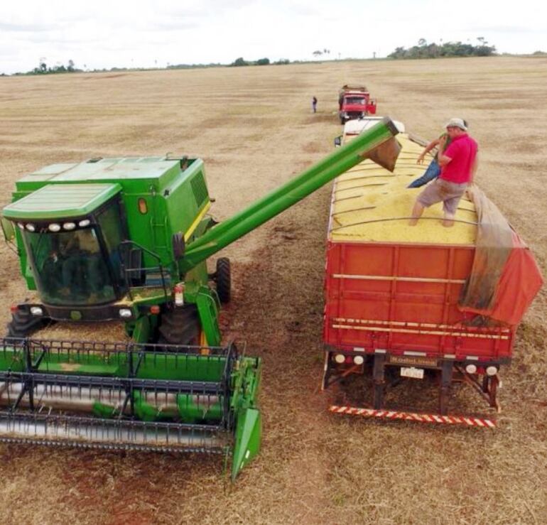 La sequía afecta a la cadena del agronegocio.