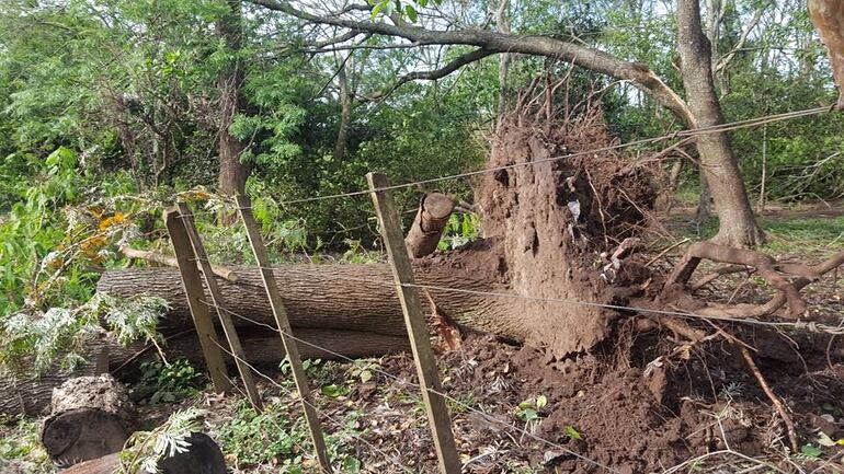 /pf/resources/images/abc-placeholder.png?d=2421