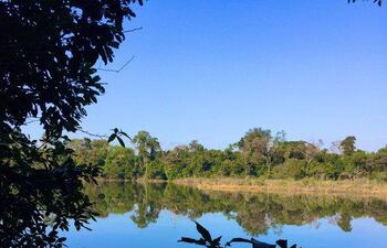 “El Infona pide declarar como área silvestre protegida la Laguna Yrendy y su bosque adyacente.