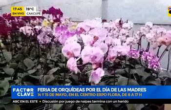 Feria de orquídeas por el día de las madres