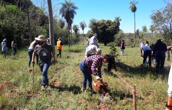 Estudiantes de Ciencias Agrarias de la UNA, instruyen a productores sobre el cultivo de la Yerba Mate