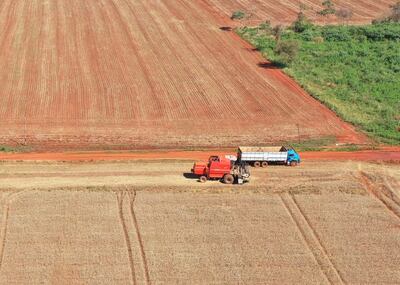Una cosechadora y un camión de carga se observa en un enorme cultivo dentro de las tierras en disputa de Guajhory.