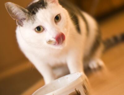 /pf/resources/images/abc-placeholder.png?d=2421