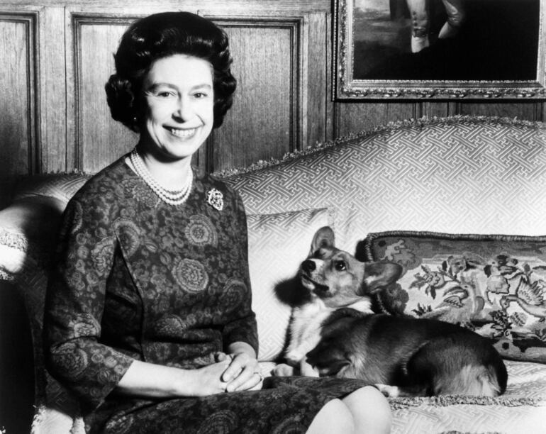 Isabel II posa con sus perros corgi. 