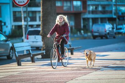 Una mujer en bicicleta pasea a su perro  por la rambla de Montevideo (Uruguay).