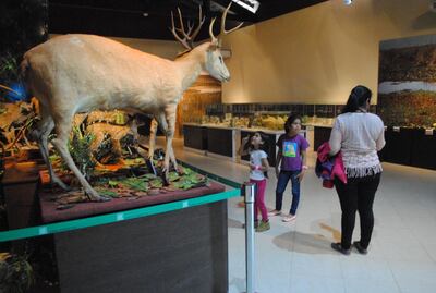 /pf/resources/images/abc-placeholder.png?d=2394