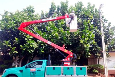 ANDE está realizando el mantenimiento intensivo de las líneas de baja tensión y se prepara para otro, en líneas de media tensión.