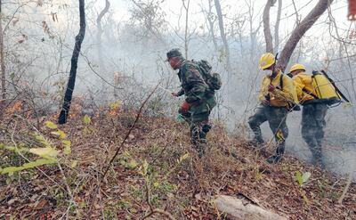 El Chaco paraguayo sufrió el año pasado  grandes quemazones que duraron semanas. (Archivo)
