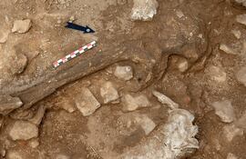 Investigadores del Centro de Estudios del Patrimonio Arqueológico de la Universidad Autónoma de Barcelona (CEPARQ-UAB) han descubierto en la cueva Gran de Santa Linya (Lleida) restos de una mujer, "Homo sapiens", que vivió en el Prepirineo oriental a finales del Paleolítico Superior Final, hace unos 14.000 años.
