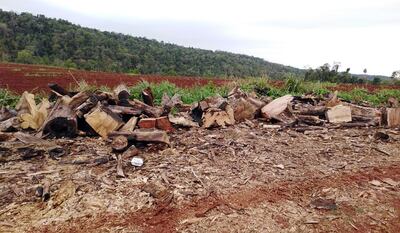 El Parque Nacional Jaku’i, una de las pocas áreas protegidas de Itapúa se encuentra en peligro ante la inacción del Mades.