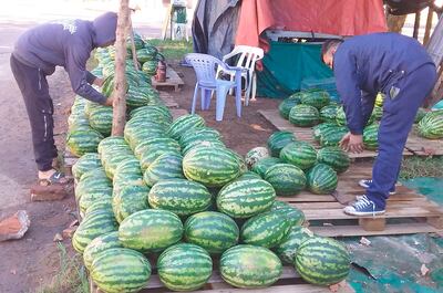 En el puesto de venta ubicado en Santaní ya vendieron más de 4.000 frutas del producto durante este periodo.