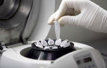 A partir de septiembre, los niños nacidos en Francia gracias a la donación de esperma o de ovocitos van a tener un camino más fácil cuando sean adultos para conocer la identidad de su donante, un cambio que es una mezcla de evolución y revolución.