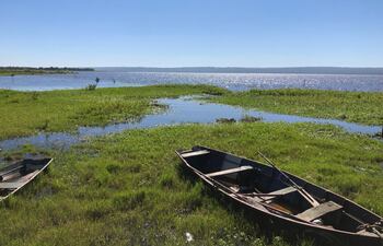 Se comprobó la reducción de coliformes fecales en la muestra analizada de las aguas del Lago Ypacaraí.