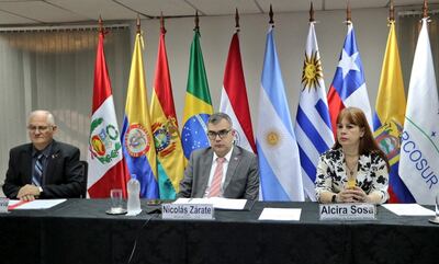 El ministro de Educación y Ciencias (MEC), Nicolás Zárate, participó de forma virtual de la reunión de ministros del Mercosur.