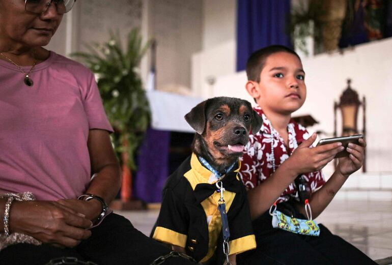 Bendición de mascotas en la iglesia Santa María Magdalena, en la ciudad de Masaya, en Nicaragua.