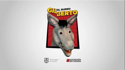 Lanzan campaña de concienciación para conductores de Asunción, "Gilberto el burro".