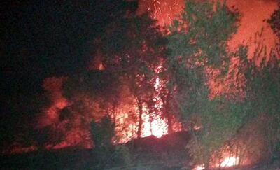 El incendio destruyó cinco hectáreas de bosque en un establecimiento privado.