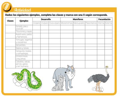 Reproducción sexual en animales vertebrados