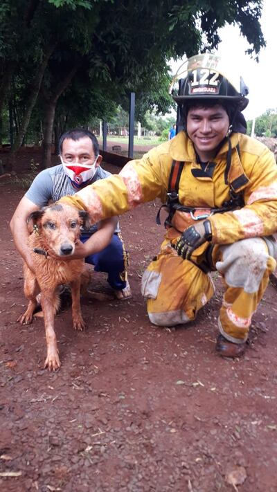 El perrito Jordi, sano y salvo fue entregado a su familia.