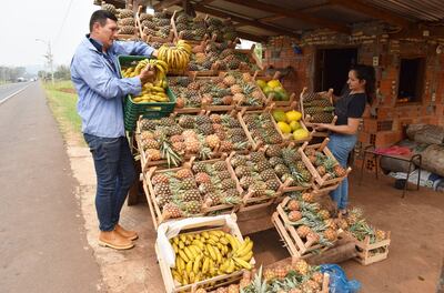 Muchos productores tienen su puesto de venta de piña y banana al costado de la ruta .