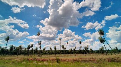 La Dirección de Meteorología pronostica un paulatino ascenso de temperatura desde este miércoles.