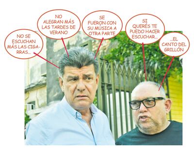 Humor