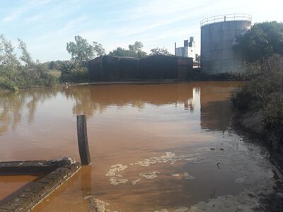 Destilería que estaría contaminando arroyo Costa Irala