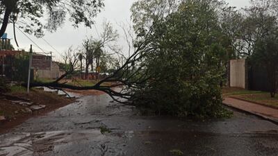 Ande sigue sin reponer energía eléctrica en Fernando de la Mora.