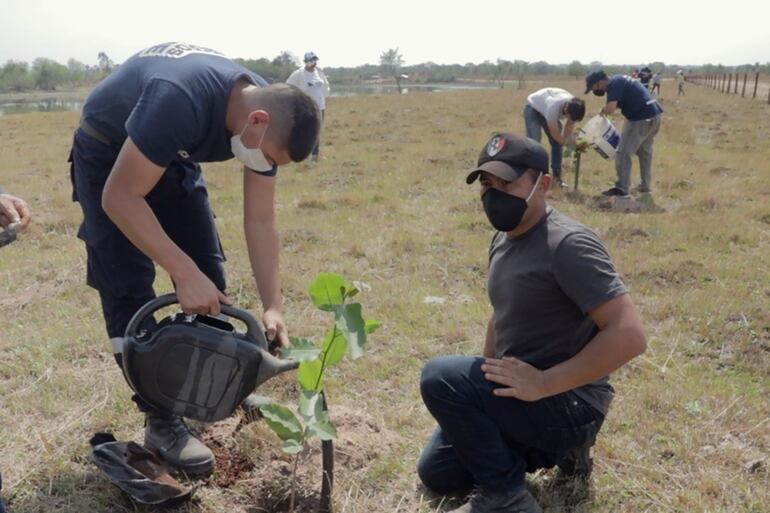 Bomberos Voluntarios de la ciudad de Ypané propician la reforestación de la ciudad, en especial las zonas afectadas por las quemazones y devastó gran parte de los campos y bosques.