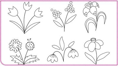 Plantas maravillosas