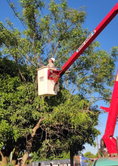 Restablecen energía eléctrica en barrios del departamento Central.