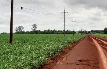 En la zona de Puerto Barra, Alto Paraná, la precipitación fue de 75 mm, según el reporte de pobladores.
