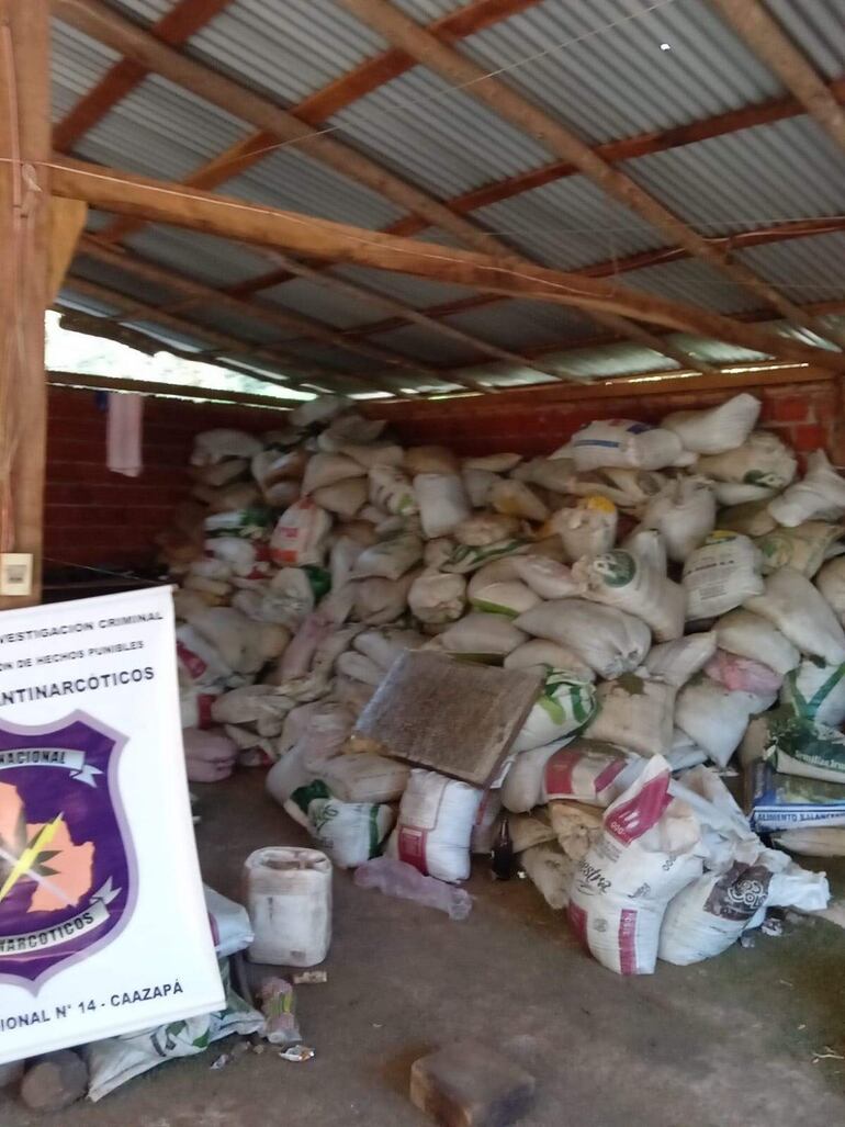 La marihuana picada destruida el fin de semana en Tavai